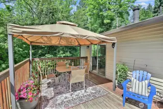 Large deck (new deck cover stays with home)
