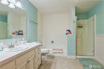 Bath with separate tub and walk in shower