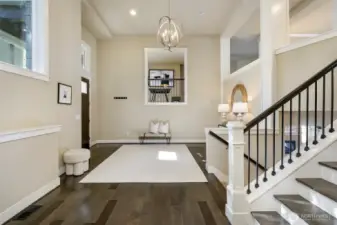 Huge elegant entry way