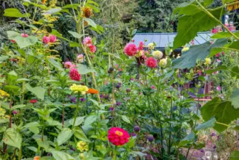 This garden is one of a kind.