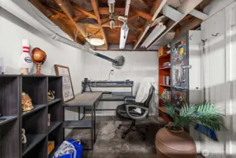 4th bedroom or storage in basement