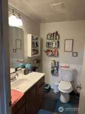 Bathroom which is downstairs