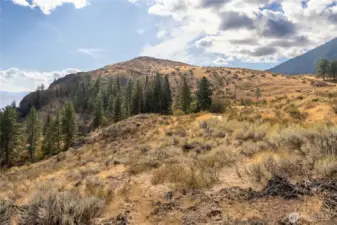 36 acres!