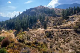 Trees, mountains & lovely fall foliage.