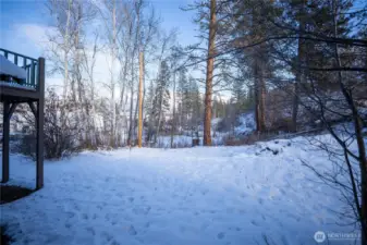 Private backyard w/ room to play, relax & listen to the birds