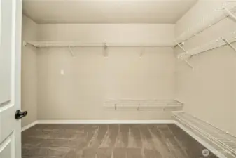 Huge walk-in closet.
