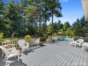 Huge newly restored & refinished Deck - great for entertaining & gatherings - overlooks the huge Backyard & sprawling 5 Acre property.