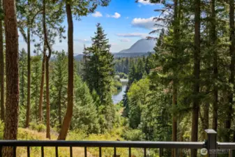 View from Daylight Basement Porch