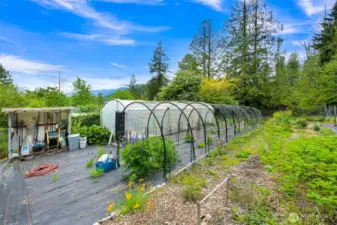 Large fenced garden with multiple greenhouses.