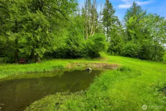 Pond to enjoy