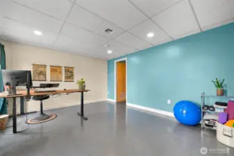 Downstairs bedroom or office
