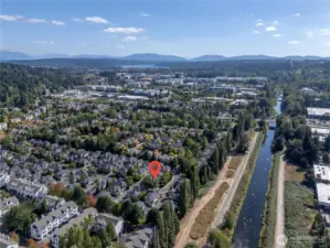 Enjoy a morning stroll on the Sammamish River Trail