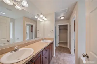 Main Homes Main Suites bath