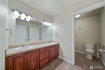 Main Home Hall Bathroom