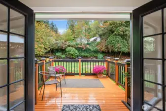 Deck with 2 access gates