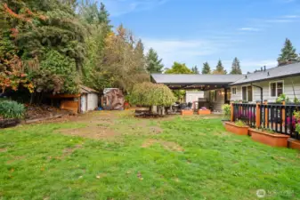 Back yard is secluded with lots of trees
