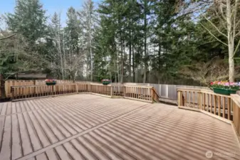 One of the largest backyards in the neighborhood