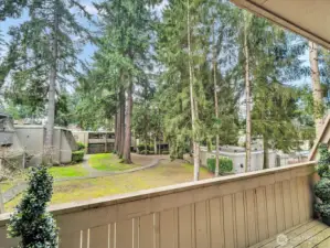 Laundry cabana seen from patio