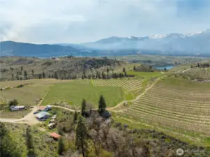 26.9 of the 33.93 acres are planted all on one tax parcel.