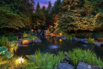 A magical place awaits you