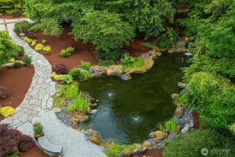 Yes, the koi come with the home!
