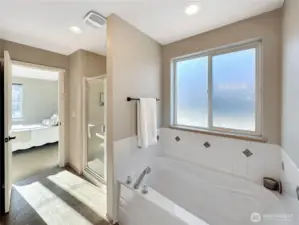 Primary 5 piece en suite bathroom