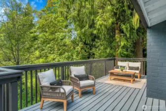 Huge Main Level Deck w/ views of creek!