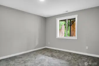 Daylight Basement Finished Rm #1