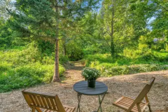 View from Lower Area to the Path and Creek
