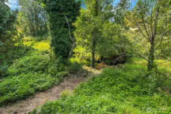 Path to the Creek