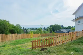 Yard