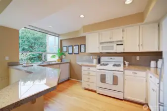 Bright & light-filled kitchen opens to both dining room and living room.