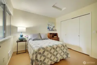 Third bedroom on lower level with spacious closet.