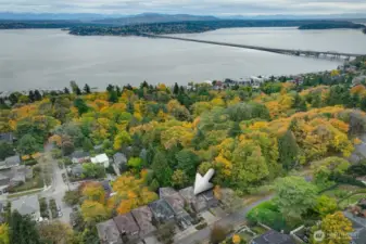 Located on above Leschi, boarding Frink Park.