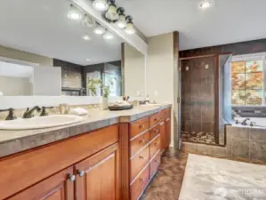 Main Bath, virtually staged.