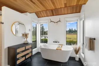 Main Bath w/spa like scenery