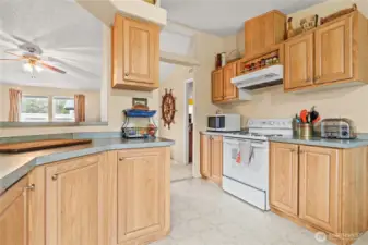 Kitchen looking towards the living room and hallway.