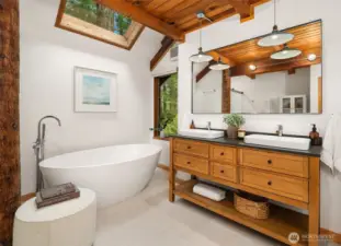 Lower level bathroom