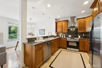 Gourmet kitchen