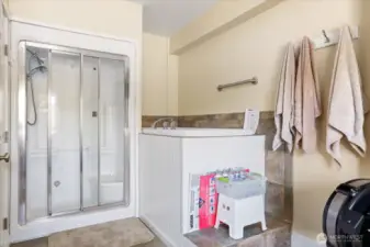 Ground Floor-shower, jetted 2-person tub