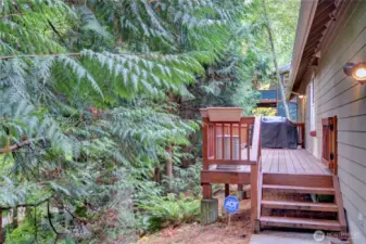 Two of the vacant properties behind are owned by SVCA and are now Green-belt.