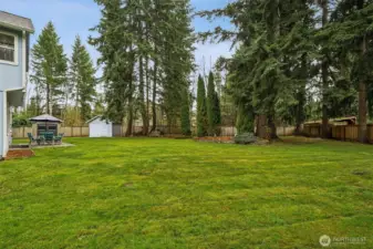 Huge backyard for your entertaining activities.