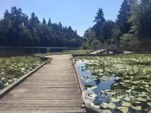 Enjoy a walk on floating walkway across the water at the nearby lake