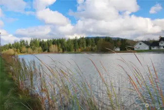 View towards the North end of the lake.