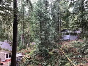 View from the Rear of the Property.