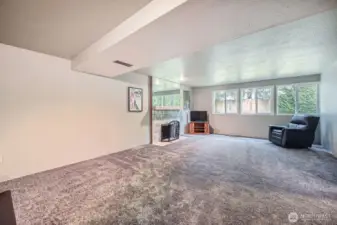 Downstairs 4th Bedroom/ Bonus room.