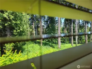 Greenbelt will forever be the view out the master bedroom.