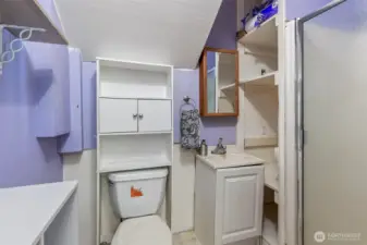 Lower Bathroom