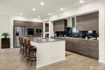 Elegant Entertainers Kitchen with Butler's Pantry