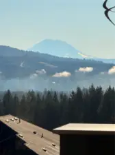 Mt Rainer Views from Outdoor Living Space, Kitchen, Living Room, and Primary Suite